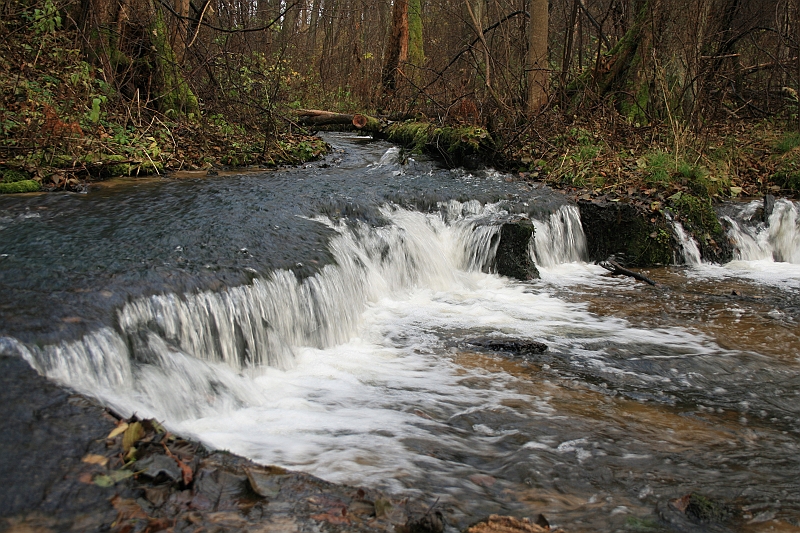 Rostoczek 11.2008 078